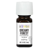 Aura Cacia Journey to Diffusion Kit