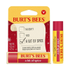 Burts Bees Holiday Spice Lip Balm 0.15 oz. blister box