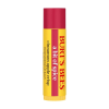 Burts Bees Holiday Spice Lip Balm 0.15 oz. blister box