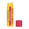 Burts Bees Holiday Spice Lip Balm 0.15 oz. blister box