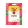 Burt's Bees Hydrating Watermelon Sheet Mask 0.33 oz.