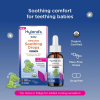 Hyland's Organic Baby Cherry Soothing Drops Nighttime 1 fl. oz.