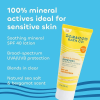 Seaweed Bath Co. Everyday Mineral Sunscreen Lotion SPF 40 3.4 fl. oz.