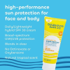 Seaweed Bath Co. Aloe & Green Tea Sheer Sunscreen SPF 30 Protection Cream 30 3.4 fl. oz