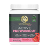 Sunwarrior Watermelon Active Pre-Workout 11.1 oz.
