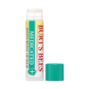 Burt's Bees Medicated Lip Balm 0.15 oz. blister box